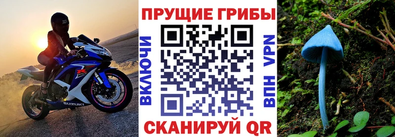 Галлюциногенные грибы Psilocybe Отрадный