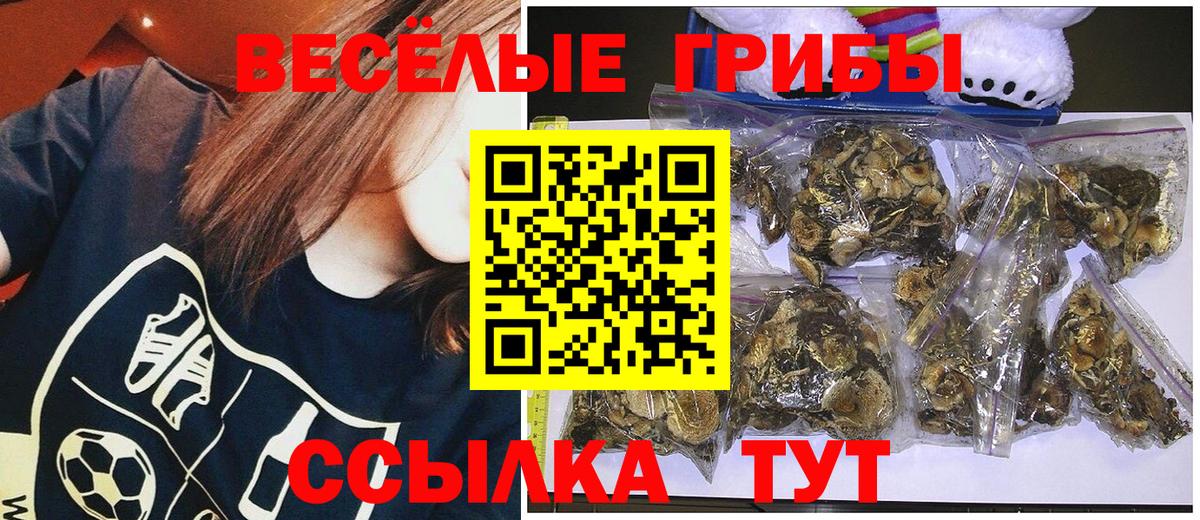 Галлюциногенные грибы мухоморы Отрадный