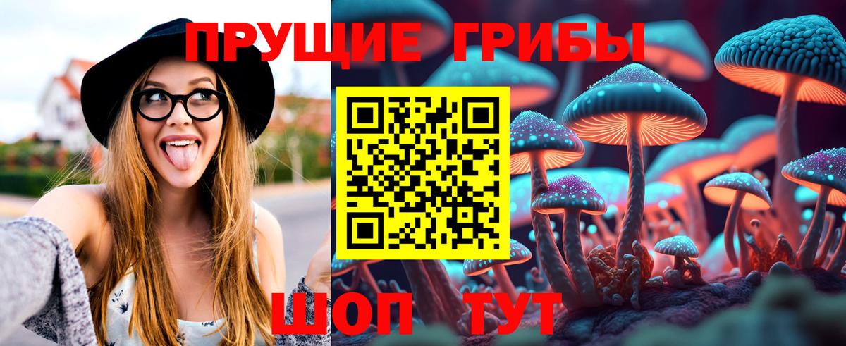 Псилоцибиновые грибы мухоморы  Вход с VPN  Отрадный  Псилоцибиновые грибы Cubensis 