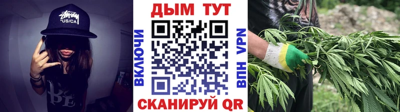 Конопля марихуана  Отрадный 